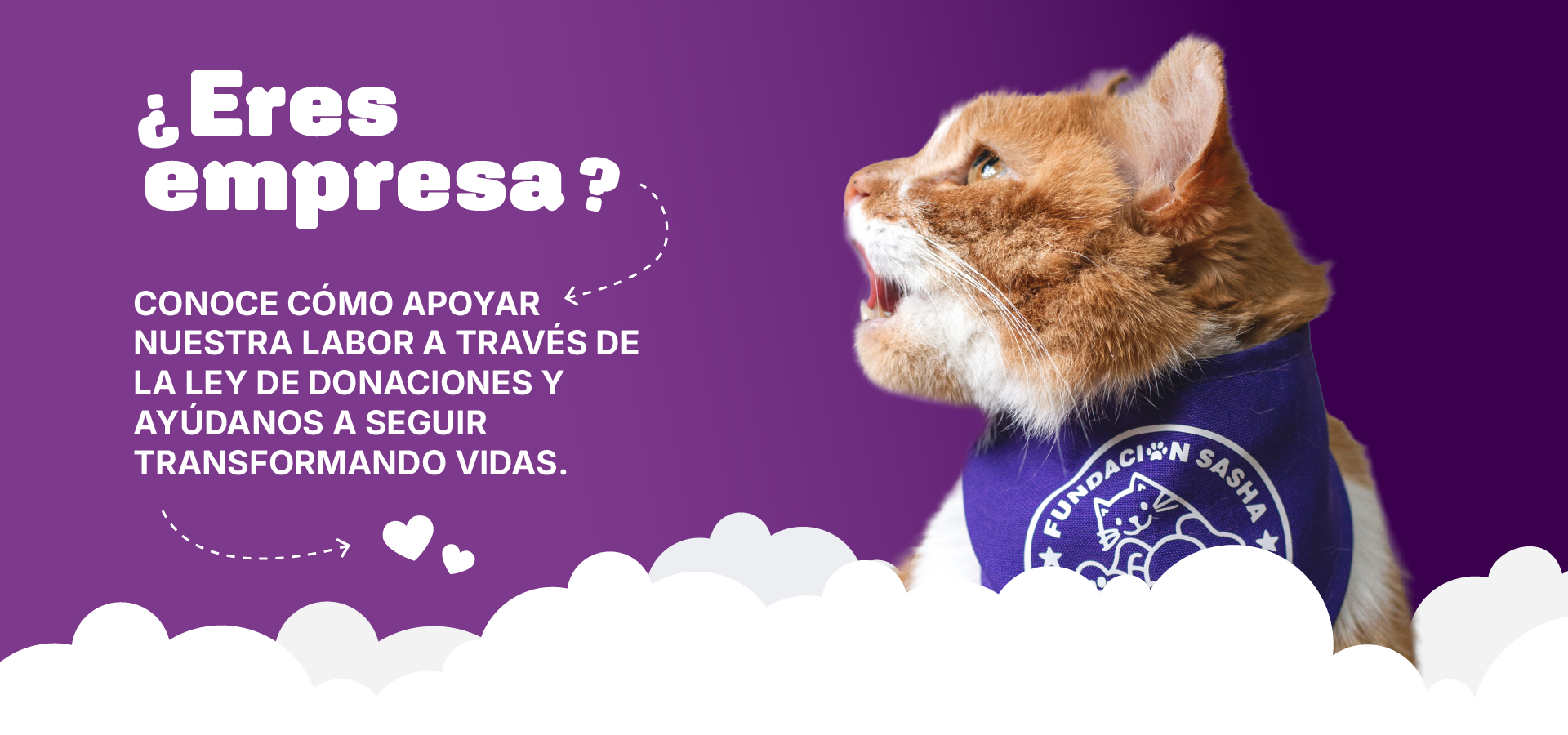 ELEMENTOS WEB_empresa